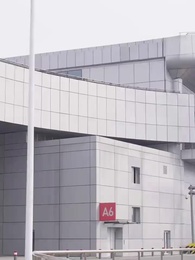 Episodio 13 - El Secreto de Elena