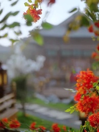 장군부 이야기 - Episode 50