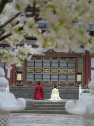 Episode 55 - Glitter Isn’t Gold