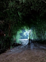 Episode 83 - Betrothed in Shadows, Crown in Flames