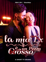 La mia Ex è un Pezzo Grosso