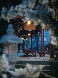 Glitter Isn’t Gold - Episode 38