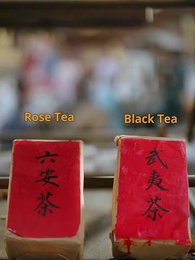 Glitter Isn’t Gold - Episode 56