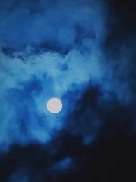 第41集 - 獨占姝色