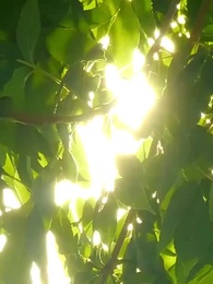 Tình Yêu Nồng Cháy - Episode 101