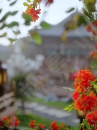 Episode 50 - Scents and Scandals at the General's Manor