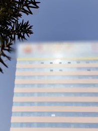 冬の終わりの薔薇 - Episode 4