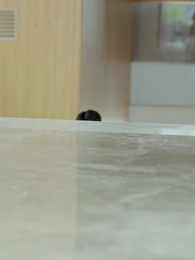 冬の終わりの薔薇 - Episode 22