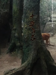 牧神記之延康變法 - Episode 2