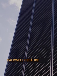 Episode 29 - CEO, deine Frau flieht mit allen sechs Erben