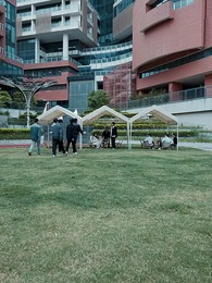 第30集 - 親愛的,我要結婚了