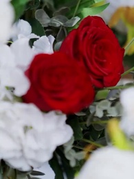 冬の終わりの薔薇 - Episode 29