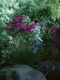 第42集 - 金戈鐵馬踏乾坤