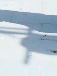 第45集 - 金戈鐵馬踏乾坤