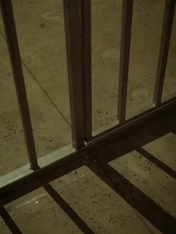 第1話 - 受刑者の人生を逆転させ