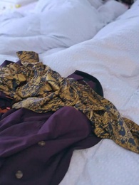 Episode 60 - The Swan