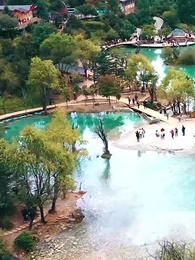 第1集 - 媽咪本事大，爹地別害怕