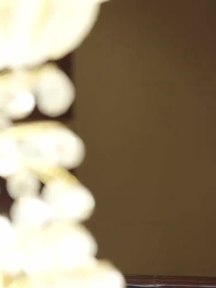 第33集 - 全家熱衷當備胎,我轉身離開