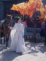 Episódio 15 - Sete Anos por Amor