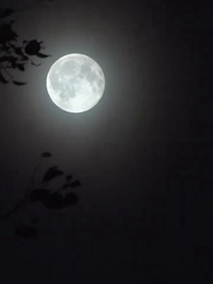 引朱砂 - Episode 55