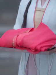 燕銜東宮枝 - Episode 28