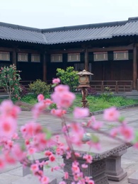 引朱砂 - Episode 37