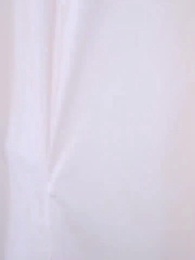 第63集 - 白天鵝