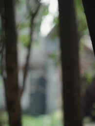 Episode 26 - Between Truth and Deception