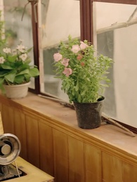 第12集 - 重返八零共白首