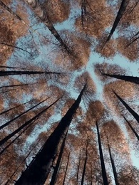 Épisode 13 - Oups ! J'ai Capturé du Sang Bleu