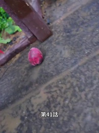 この世は神の世界をも超え - Episode 41