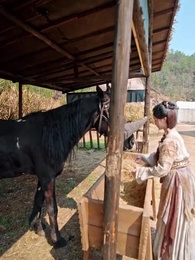 Episode 13 - I'm at North thinking of South