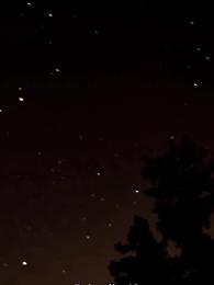 Episodio 49 - Desideri proibiti Amore Alphas