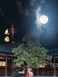 20화 - 고요한 세월