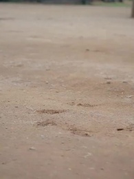 고요한 세월 - Episode 8