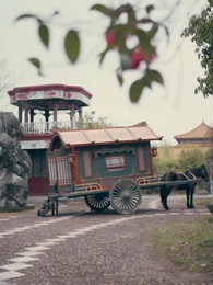 Episódio 55 - Roubei um Príncipe e Virei Rainha