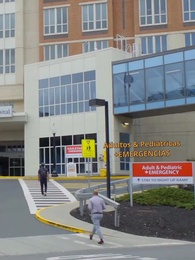 Episodio 29 - Bebé millonario