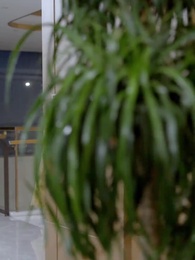 千金世無雙 - Episode 42