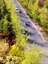 Episode 49 - [Dubbed]99 Ways to Break My Heart