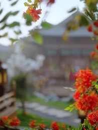 ตอนที่ 50 - เล่ห์รักจวนแม่ทัพ