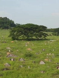 Episode 58 - Never Ever Yours Again