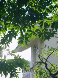 หญิงคนนี้เอาแต่คิดไปเอง - Episode 48