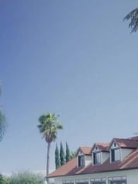 Bilionário e Herdeira das Sombras - Episode 12