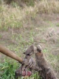 Cinta Yang Kejam dan Liar - Episode 13