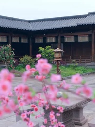 Tập 37 - Mộng Uyển Phong Hoa