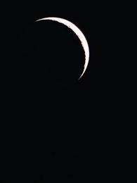 Episodio 51 - Nives: la compagna tre volte rifiutata del re Alfa.