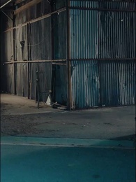 Crossing the line to love - Episode 46