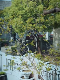 烽火千金謀 - Episode 16