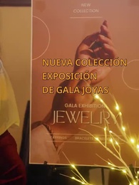 Episodio 25 - Mi Esposa Multimillonaria