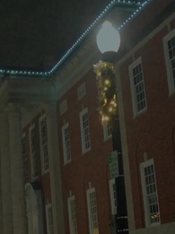 Nives: la compagna tre volte rifiutata del re Alfa. - Episode 29